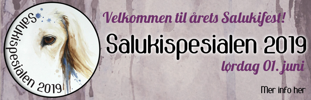 salukispesialen banner