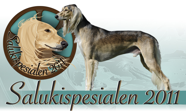 Salukispesialen 2010