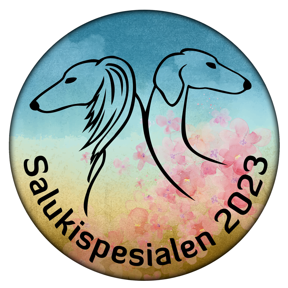 spesialen logo 2023
