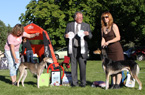 salukispesialen 2010