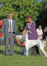Salukispesialen 2010